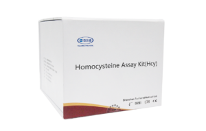 Homocysteine (Hcy)-Assay-Kit